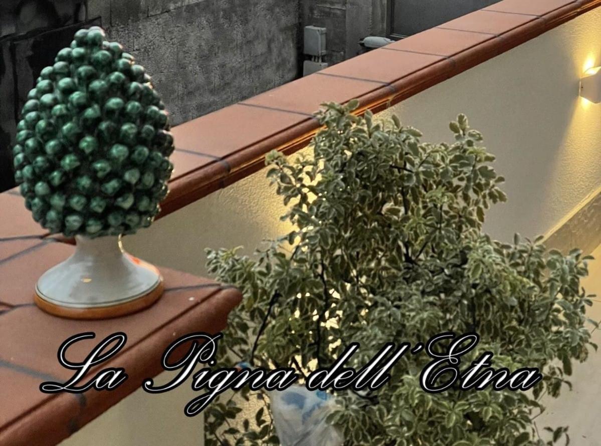 La Pigna Dell'Etna Apartment Nicolosi Luaran gambar