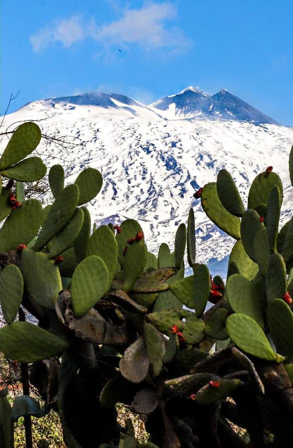 La Pigna Dell'Etna Apartment Nicolosi Luaran gambar